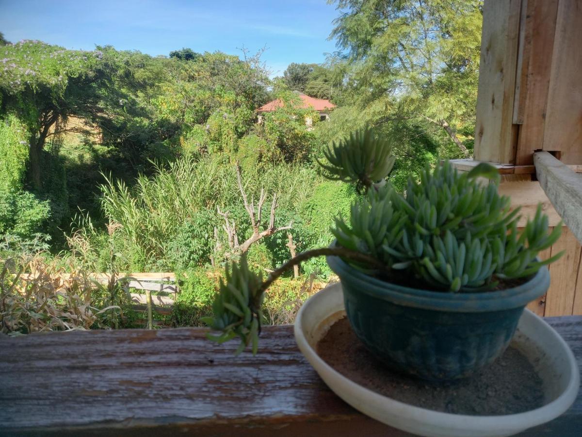 Emmy'S Backpackers Hostel Iringa Exterior foto
